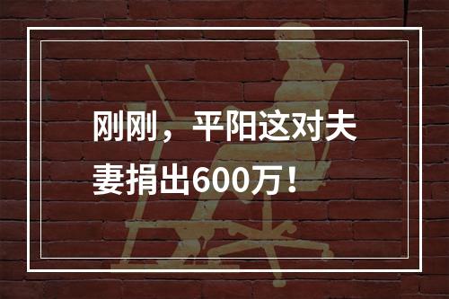 刚刚，平阳这对夫妻捐出600万！