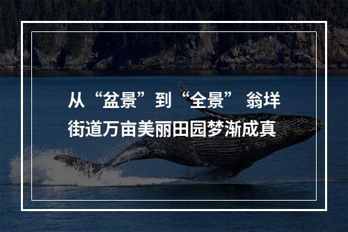 从“盆景”到“全景” 翁垟街道万亩美丽田园梦渐成真