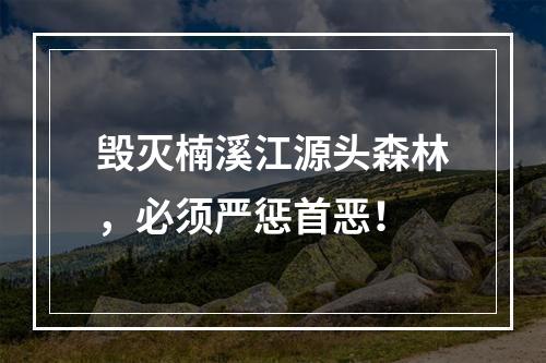 毁灭楠溪江源头森林，必须严惩首恶！