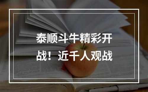泰顺斗牛精彩开战！近千人观战
