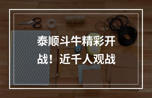 泰顺斗牛精彩开战！近千人观战