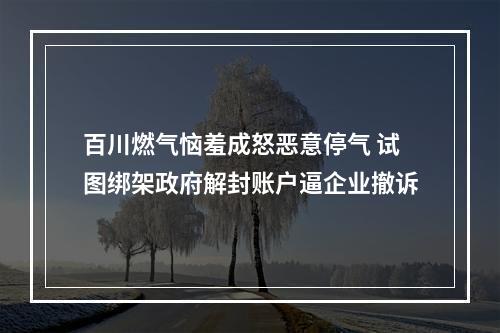 百川燃气恼羞成怒恶意停气 试图绑架政府解封账户逼企业撤诉