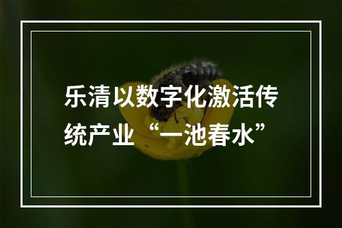 乐清以数字化激活传统产业“一池春水”