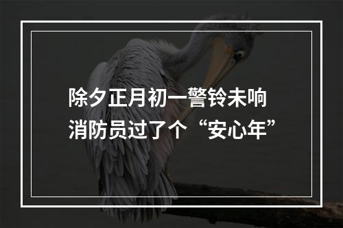 除夕正月初一警铃未响 消防员过了个“安心年”