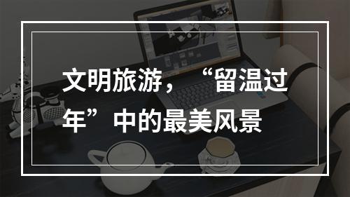 文明旅游，“留温过年”中的最美风景