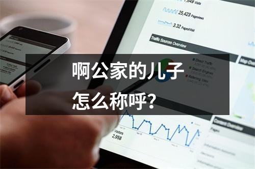 啊公家的儿子怎么称呼？
