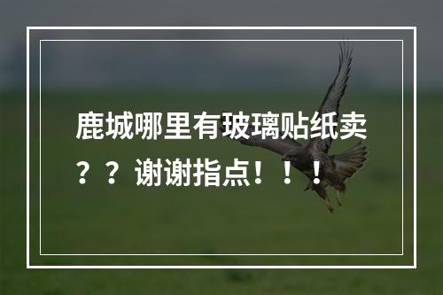 鹿城哪里有玻璃贴纸卖？？谢谢指点！！！