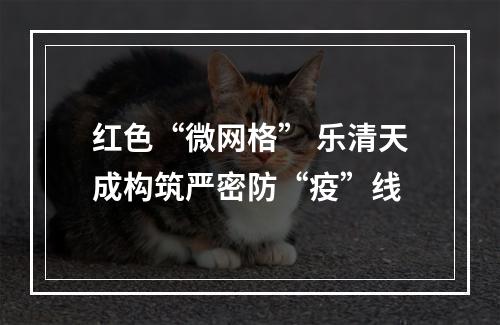 红色“微网格” 乐清天成构筑严密防“疫”线