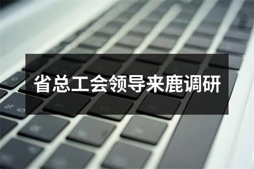 省总工会领导来鹿调研