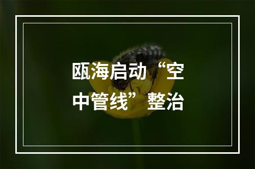 瓯海启动“空中管线”整治