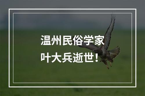 温州民俗学家叶大兵逝世！