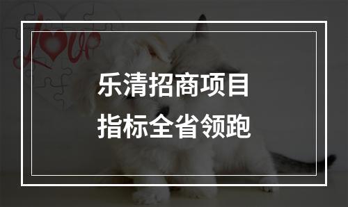 乐清招商项目指标全省领跑