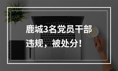 鹿城3名党员干部违规，被处分！