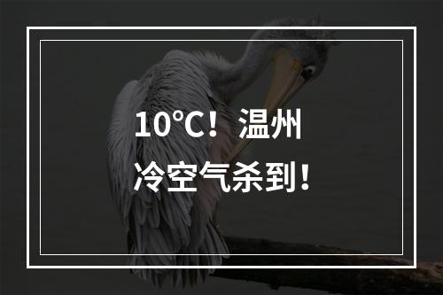 10℃！温州冷空气杀到！