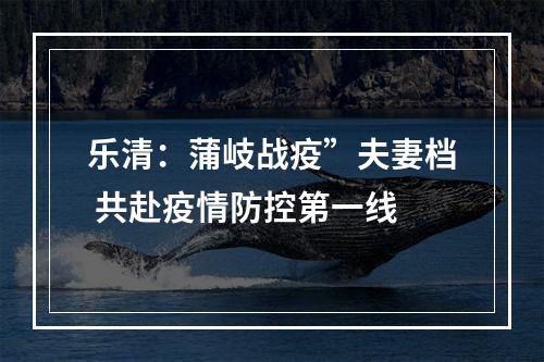 乐清：蒲岐战疫”夫妻档 共赴疫情防控第一线