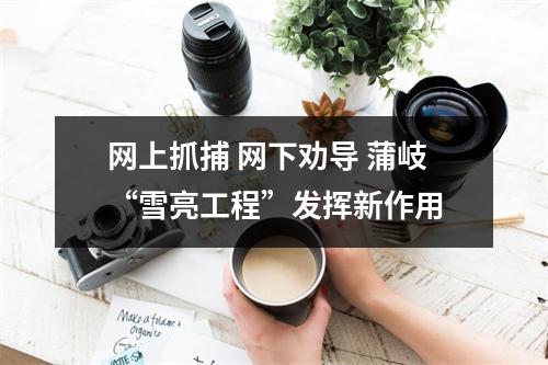 网上抓捕 网下劝导 蒲岐“雪亮工程”发挥新作用