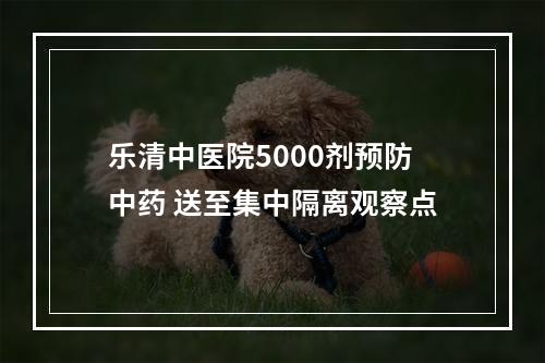 乐清中医院5000剂预防中药 送至集中隔离观察点