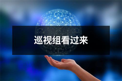 巡视组看过来
