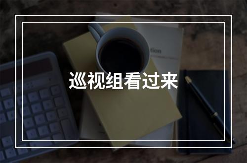 巡视组看过来