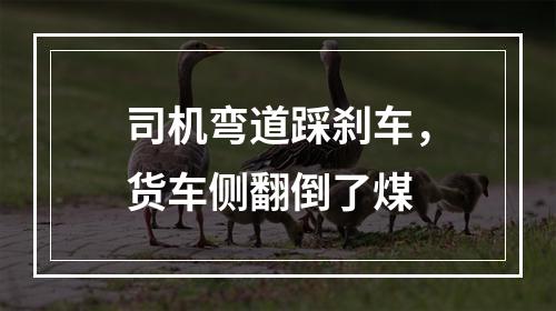 司机弯道踩刹车，货车侧翻倒了煤