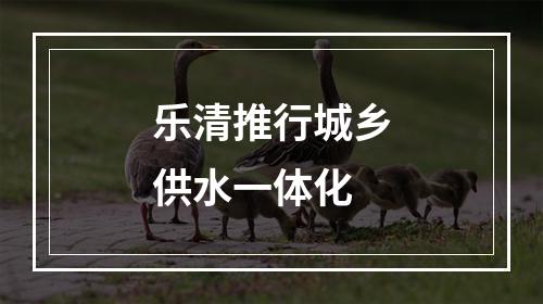 乐清推行城乡供水一体化