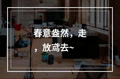 春意盎然，走，放鸢去~