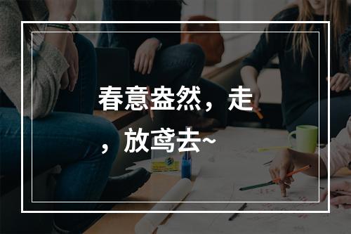 春意盎然，走，放鸢去~