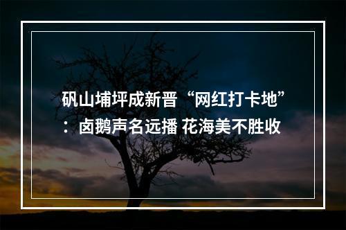 矾山埔坪成新晋“网红打卡地”：卤鹅声名远播 花海美不胜收