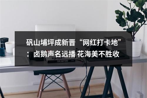 矾山埔坪成新晋“网红打卡地”：卤鹅声名远播 花海美不胜收