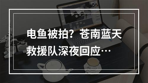 电鱼被拍？苍南蓝天救援队深夜回应…
