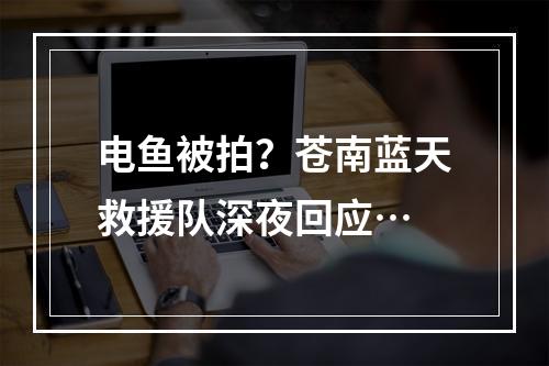 电鱼被拍？苍南蓝天救援队深夜回应…