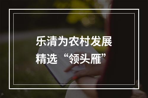 乐清为农村发展精选“领头雁”