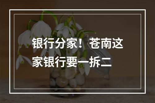 银行分家！苍南这家银行要一拆二