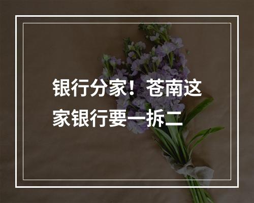 银行分家！苍南这家银行要一拆二