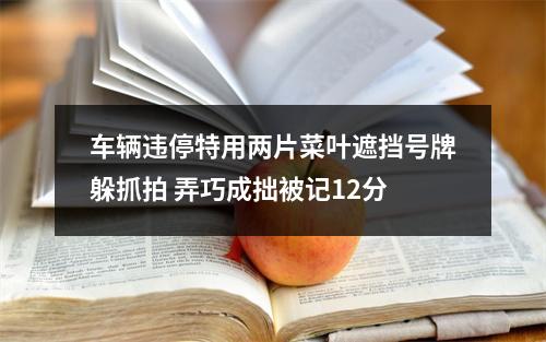 车辆违停特用两片菜叶遮挡号牌躲抓拍 弄巧成拙被记12分