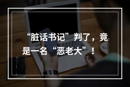 “脏话书记”判了，竟是一名“恶老大”！