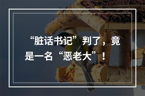 “脏话书记”判了，竟是一名“恶老大”！