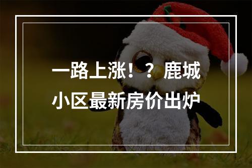 一路上涨！？鹿城小区最新房价出炉