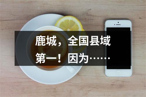 鹿城，全国县域第一！因为……