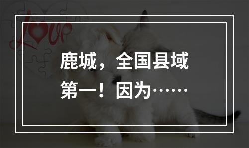 鹿城，全国县域第一！因为……