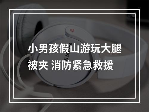 小男孩假山游玩大腿被夹 消防紧急救援