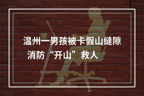 温州一男孩被卡假山缝隙  消防“开山”救人