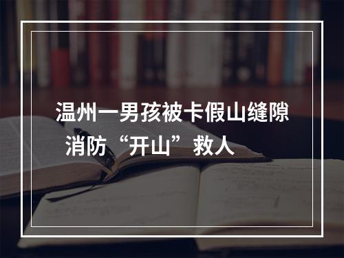 温州一男孩被卡假山缝隙  消防“开山”救人