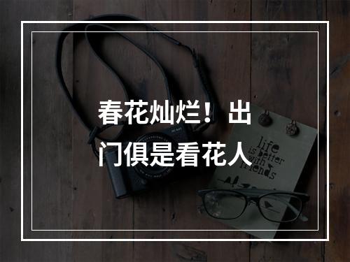 春花灿烂！出门俱是看花人
