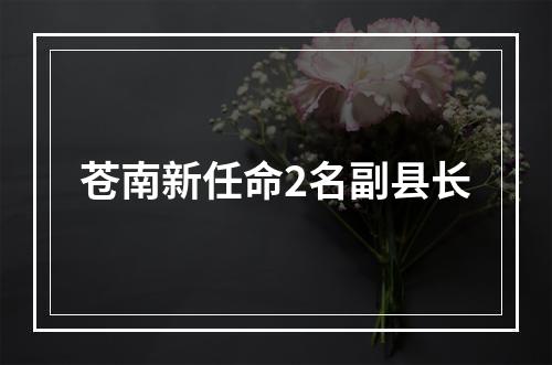 苍南新任命2名副县长
