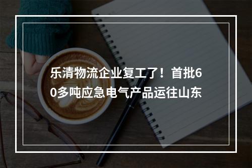 乐清物流企业复工了！首批60多吨应急电气产品运往山东