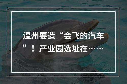 温州要造“会飞的汽车”！产业园选址在……