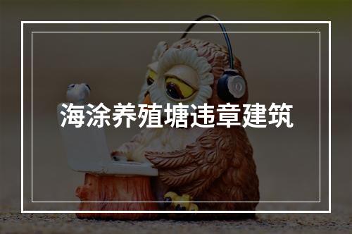 海涂养殖塘违章建筑