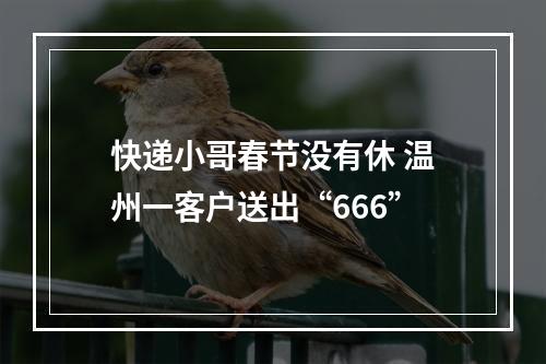 快递小哥春节没有休 温州一客户送出“666”