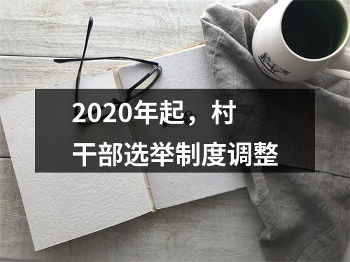 2020年起，村干部选举制度调整